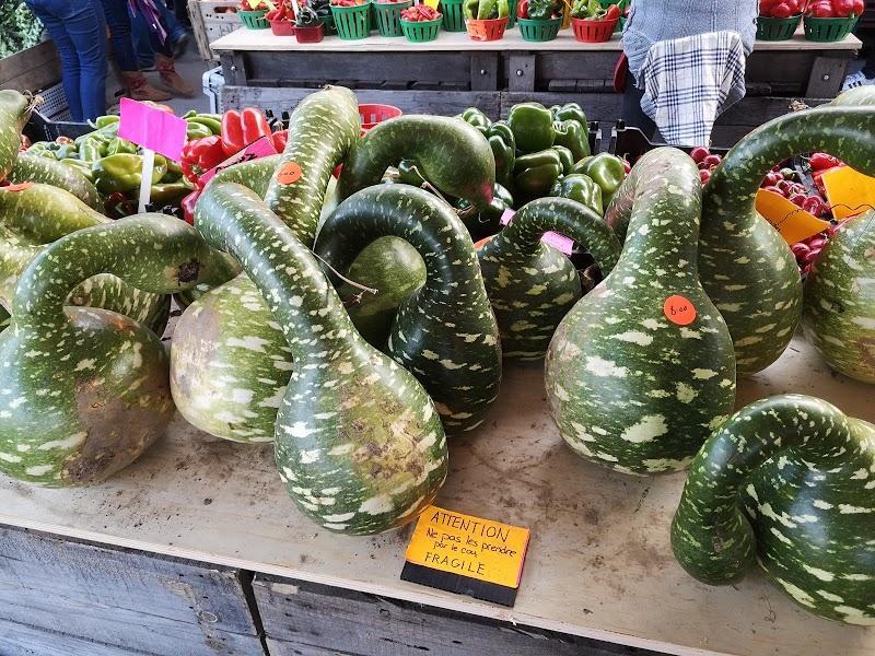 cerisier,récolte,Rougemont,arboriculture,plantation,poirier,arbre fruitier,abricotier,pommier,fruits,Potager Mont-Rouge Halte Gourmande | Verger & Boutique | Orchard & Boutique,prunier,jardin fruitier,CanaGuide,pépinière, Potager Mont-Rouge Halte Gourmande | Verger & Boutique | Orchard & Boutique - Verger à Rougemont (Quebec) | CanaGuide